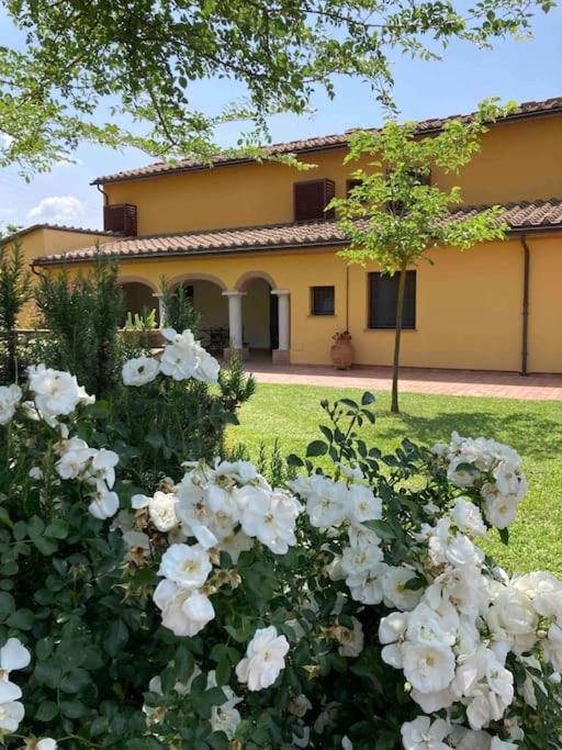 Il Casale Daire Limite Dış mekan fotoğraf